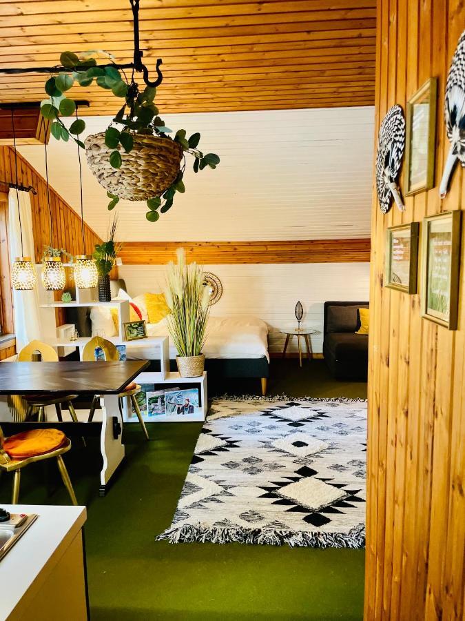 Goldspecht - Boho Appartements 萨尔巴赫 外观 照片